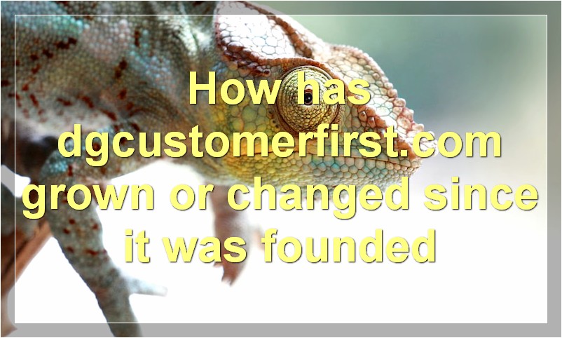 How has dgcustomerfirst.com grown or changed since it was founded