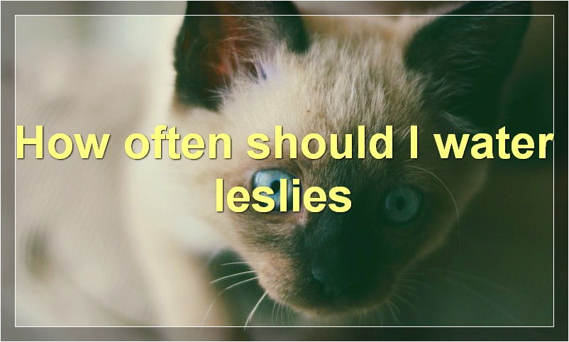 How often should I water leslies