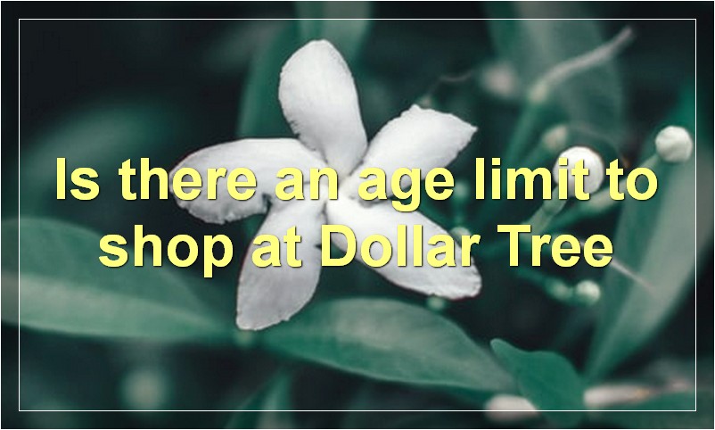 Is there an age limit to shop at Dollar Tree