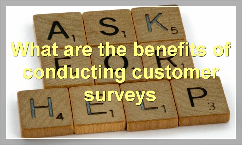 What are the benefits of conducting customer surveys