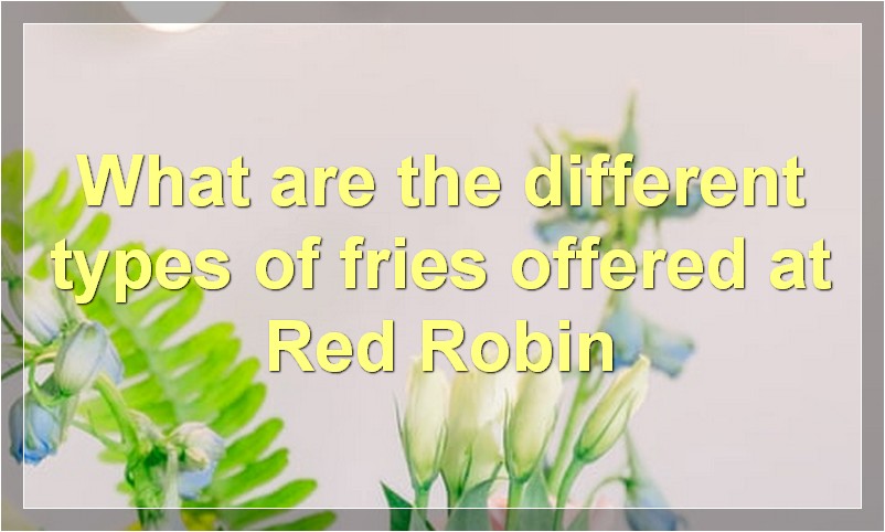What are the different types of fries offered at Red Robin
