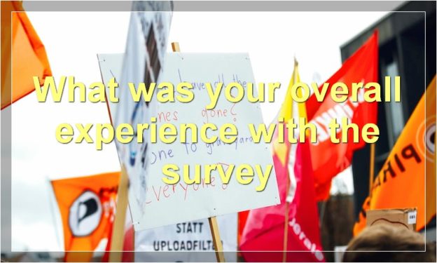 What was your overall experience with the survey